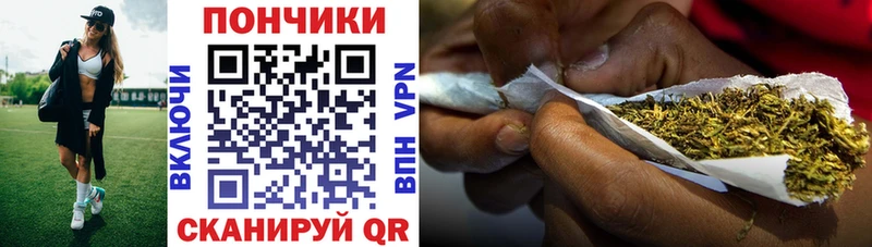купить закладку  Петровск-Забайкальский  Шишки марихуана Ganja 